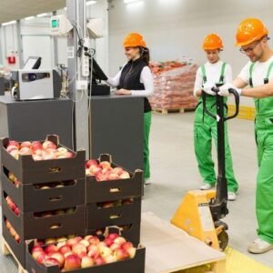 E45K France Factory Packaging Jobs For Immigrants With Work Permit